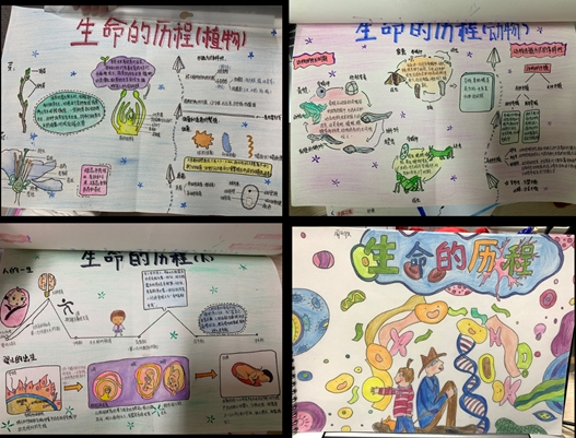 动手动脑学科学减负增效收获多