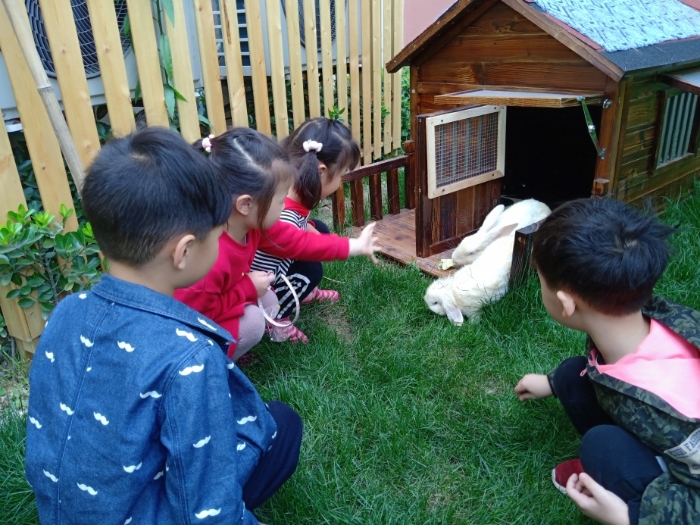 這學期,幼兒園的小菜地裡開闢出了一