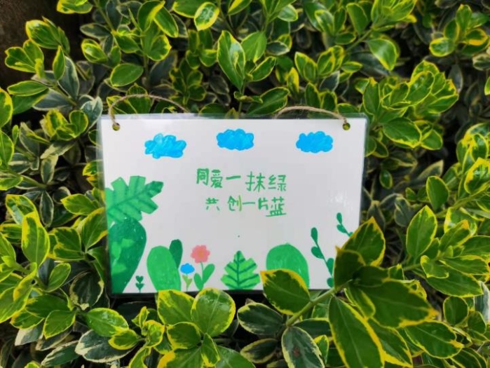 共创一片蓝,植树造林,功在千秋,这些饱含深意的环保标语牌在孩子们