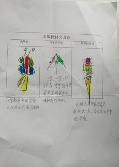 幼儿园风筝调查表图片